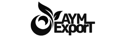 AYM Export web tasarım projesi